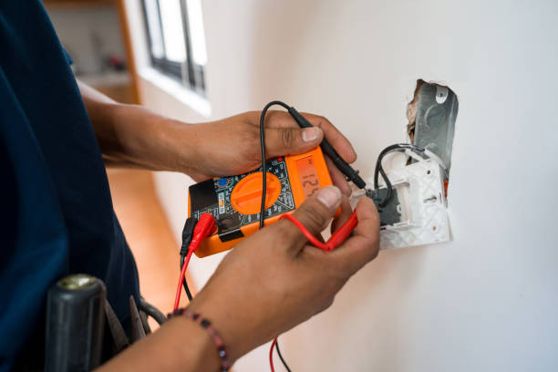 Best Electric Panel Repair  in Cohasset, MN